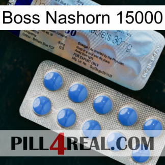 Boss Rhino 15000 39